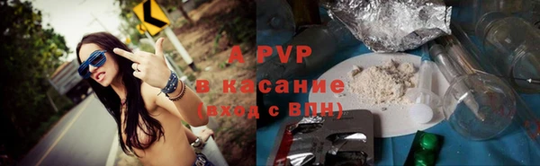 дурь Туринск