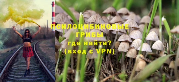 дурь Туринск