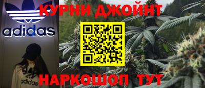 jwh Кингисепп