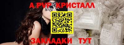 jwh Кингисепп