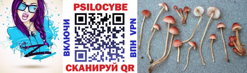 мориарти клад цена Балашов Псилоцибиновые грибы GOLDEN TEACHER мега ссылки