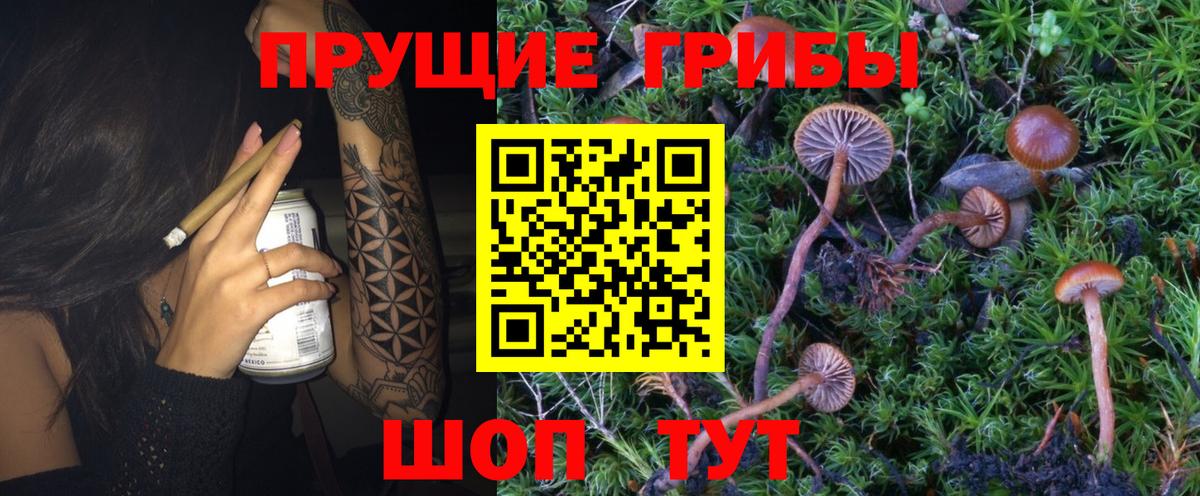 Псилоцибиновые грибы Magic Shrooms  Вход с VPN  Балашов 