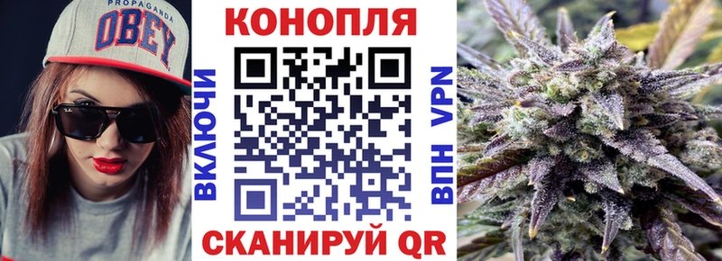 наркотики  Балашов  Каннабис OG Kush 